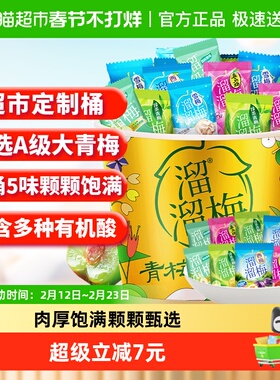 溜溜梅全家桶解馋休闲零食蜜饯果干话梅独立包装