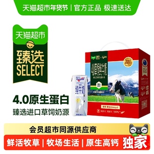 臻选进口新西兰纽仕兰4.0蛋白全脂高钙牛奶礼盒新老包装随机