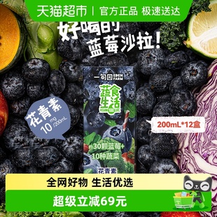 一甸园蓝莓味100%果蔬汁约30颗蓝莓10种蔬菜含花青素200mL 12盒