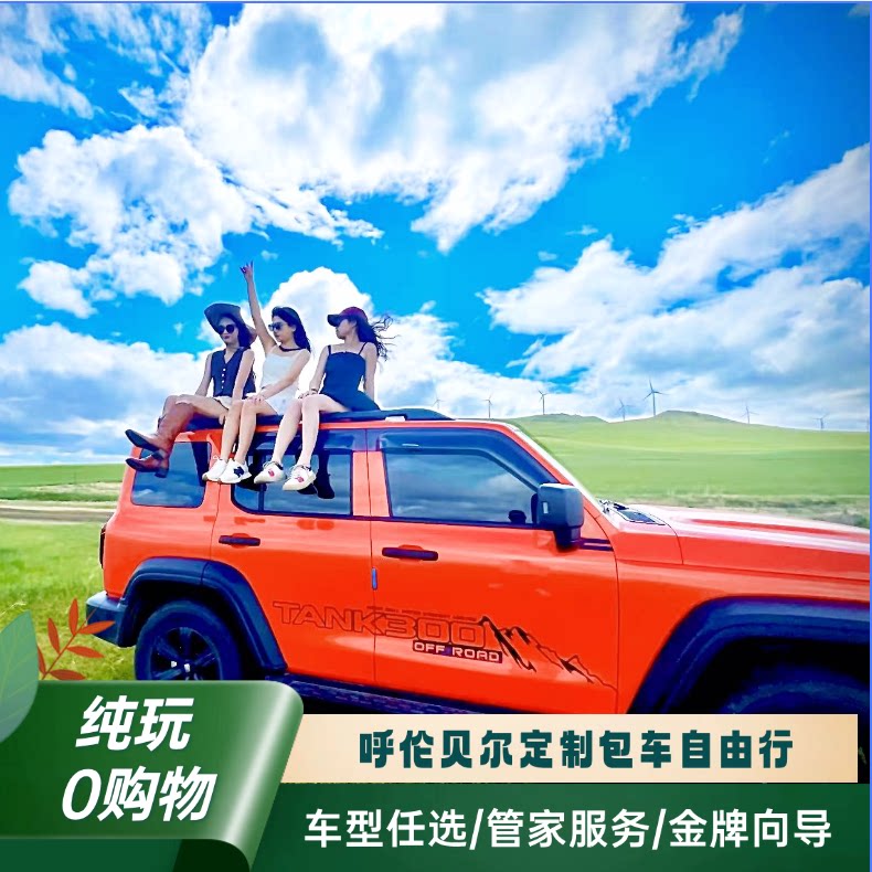 内蒙古呼伦贝尔大草原包车游/海包车（按日包车/线路