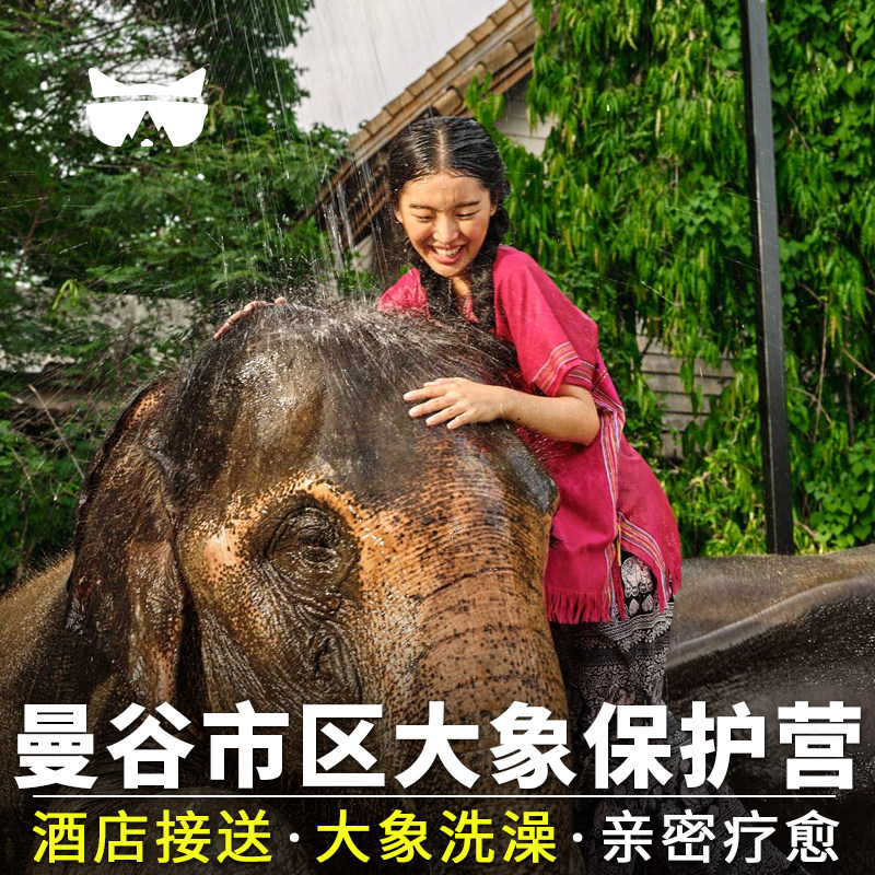 懒猫旅行 泰国曼谷一日游大象公益保护营半日游洗澡泥浴互动亲子