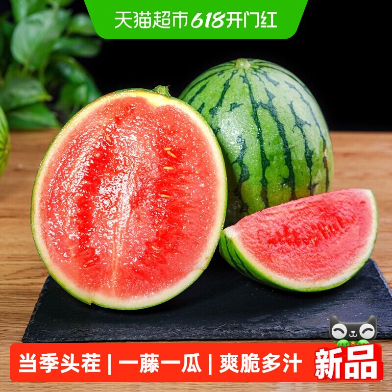 小糖丸西瓜新鲜手撕薄皮冰淇淋西瓜当季时令水果整箱超甜