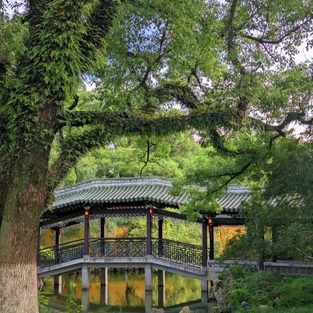 温州旅游江心屿东西双塔江心寺澄鲜阁浩然楼【纯玩丨人工讲解】