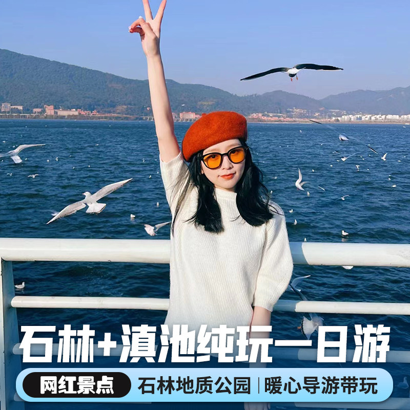 二环内接昆明周边 石林+滇池纯玩一日游 -可选15人团-纯玩-晚出发