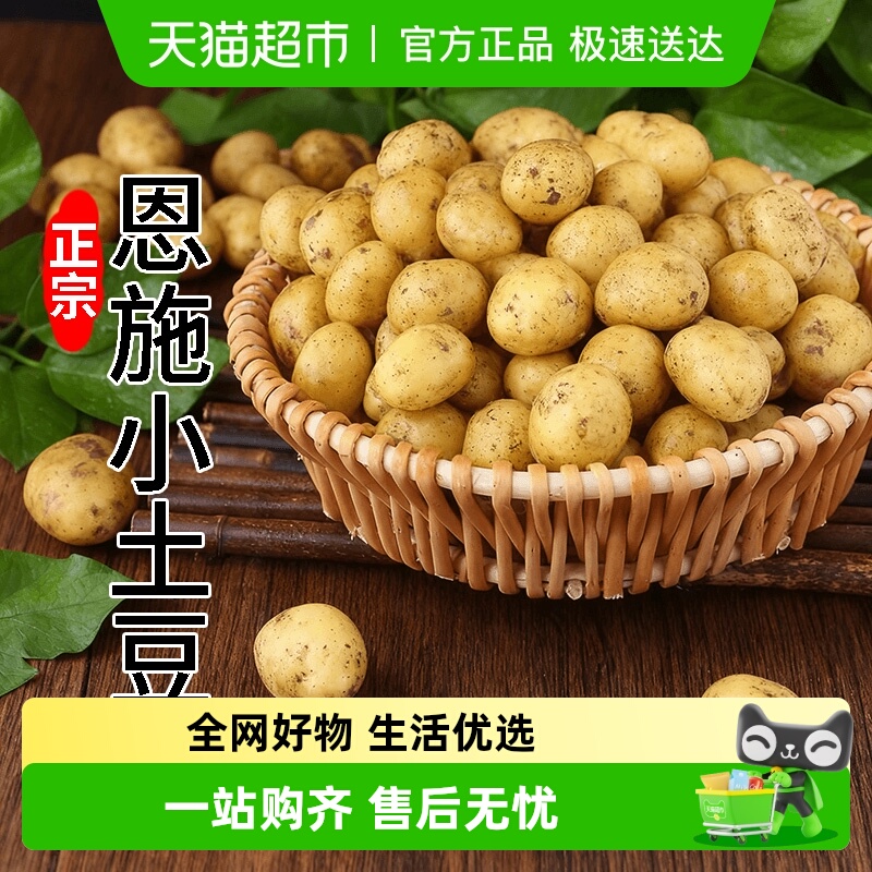 德沃多恩施小土豆黄心马铃薯