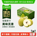 礼箱装 下拉详情领补贴 西域美农新疆库尔勒香梨梨子礼盒 臻选