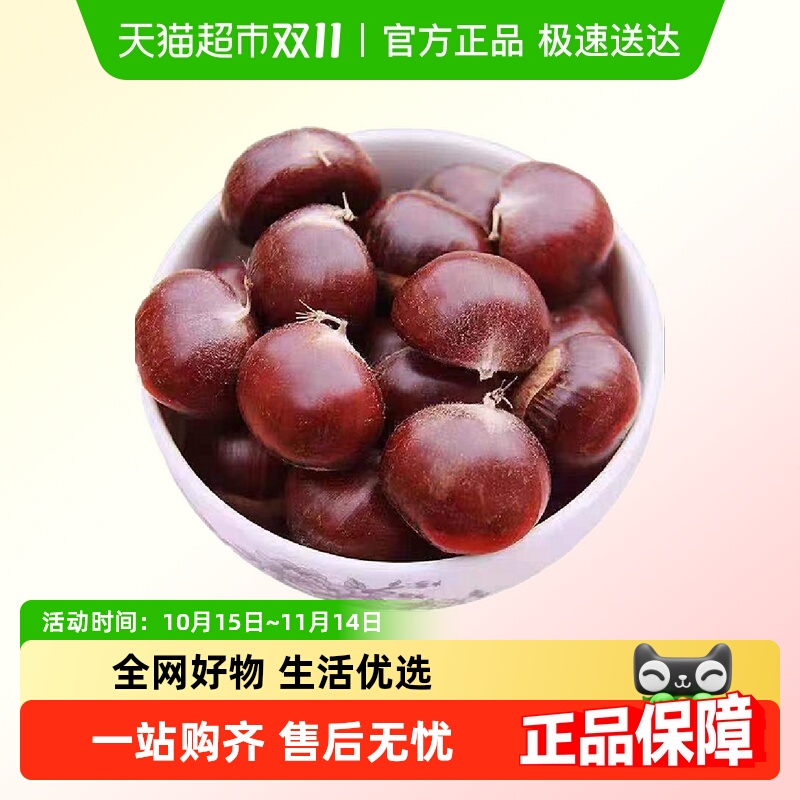 新鲜板栗河北油栗大果现货正宗