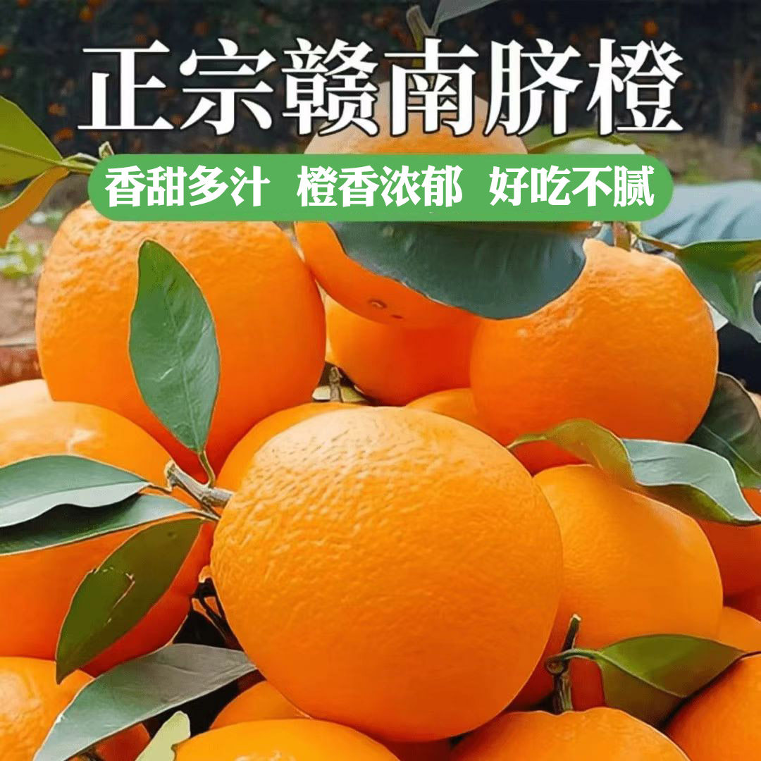 正宗江西赣南脐橙橙子手剥橙新鲜现摘特级大果橙赣州产地直发包邮