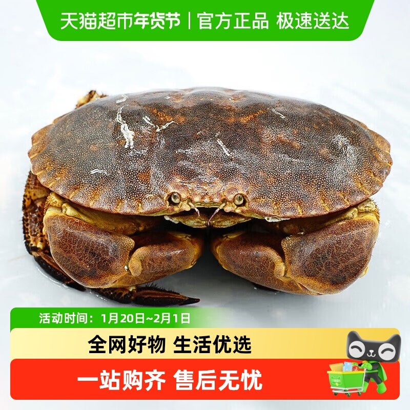 渔传播【活鲜次日达】英国大面包蟹黄道蟹包新鲜不包活 母蟹,水产肉类/新鲜蔬果/熟食,梭子蟹,淘宝优惠券,粉丝福利购,淘宝优惠卷