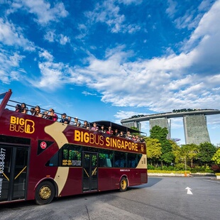 [新加坡城市通票-畅游通票]【Gocity官方直营】30+景点2-7日票-环球影城/滨海湾花园/动物园