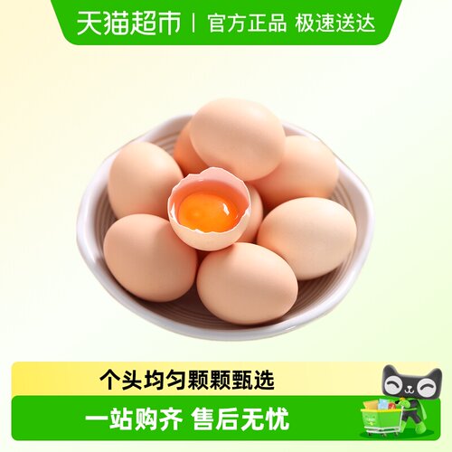 我老家鲜鸡蛋45g×20个