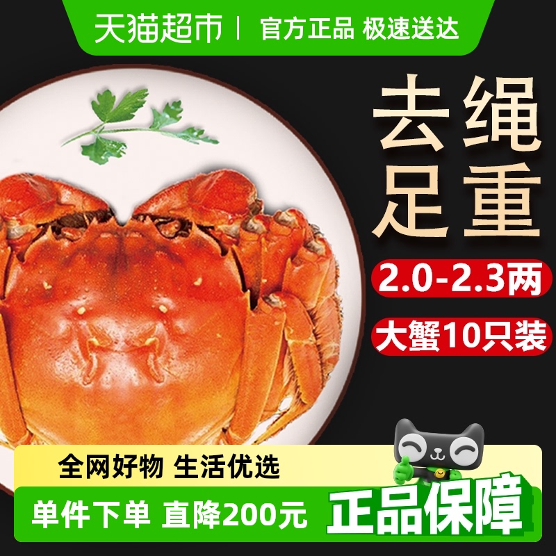 【活蟹】湖鮮陽澄 大閘蟹去繩足重2.0-2.3兩10只鮮活六月黃禮盒裝