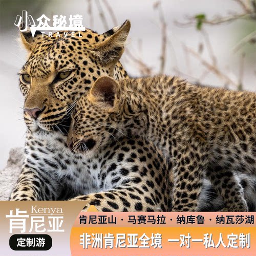 【肯尼亚定制游】全国可出发，详询客服搭配航班 私家越野车+当地老司机，草原Safari天花板配置 原来非洲不是只有沙漠和炎热，还是动物奔腾的生命王国 人生总要有一次，闯进非洲的彩色相册！
