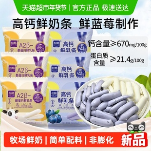 松酪内蒙古草原高钙鲜乳条A2β酪蛋白烤奶条蓝莓味儿童小零食