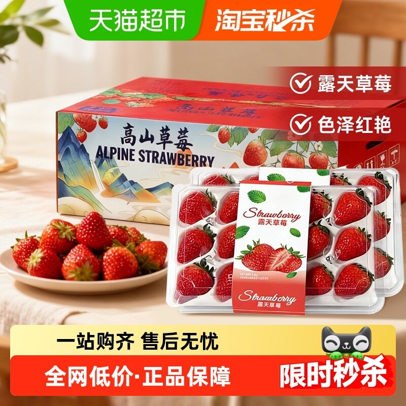 四川大凉山露天红颜草莓奶油草莓现摘新鲜水果生鲜时令礼盒,水产肉类/新鲜蔬果/熟食,草莓,淘宝优惠券,粉丝福利购,淘宝优惠卷
