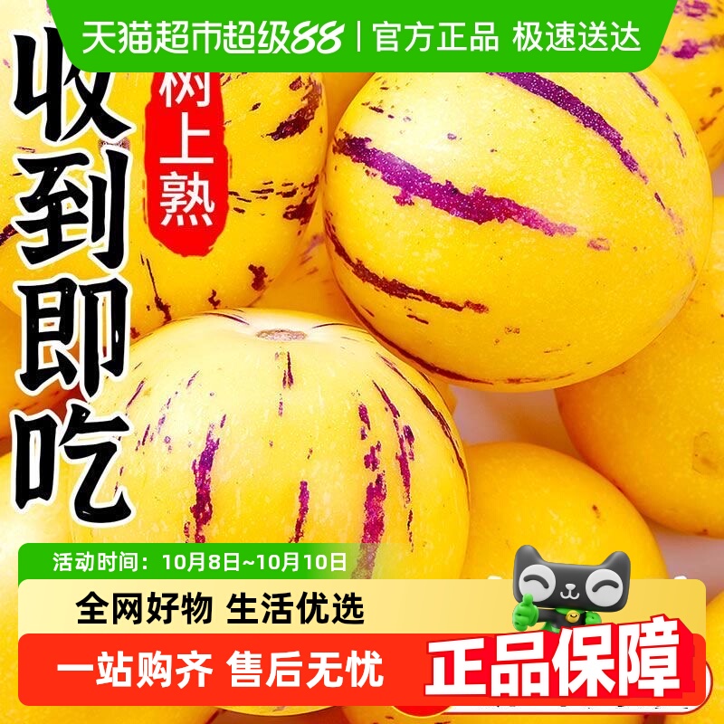顺丰树上熟人参果新鲜营养