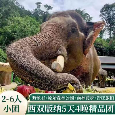 【2-6人小团】西双版纳5天4晚野象谷森林公园星光夜市云南旅游