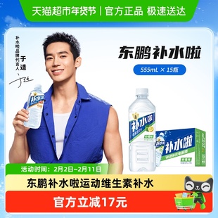 东鹏补水啦电解质水维生素饮料整箱15瓶柠檬味补充盐类水分