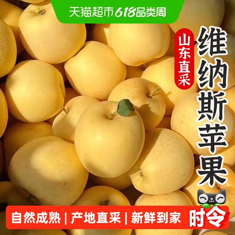 裕鲜生山东维纳斯黄金苹果甜蜜