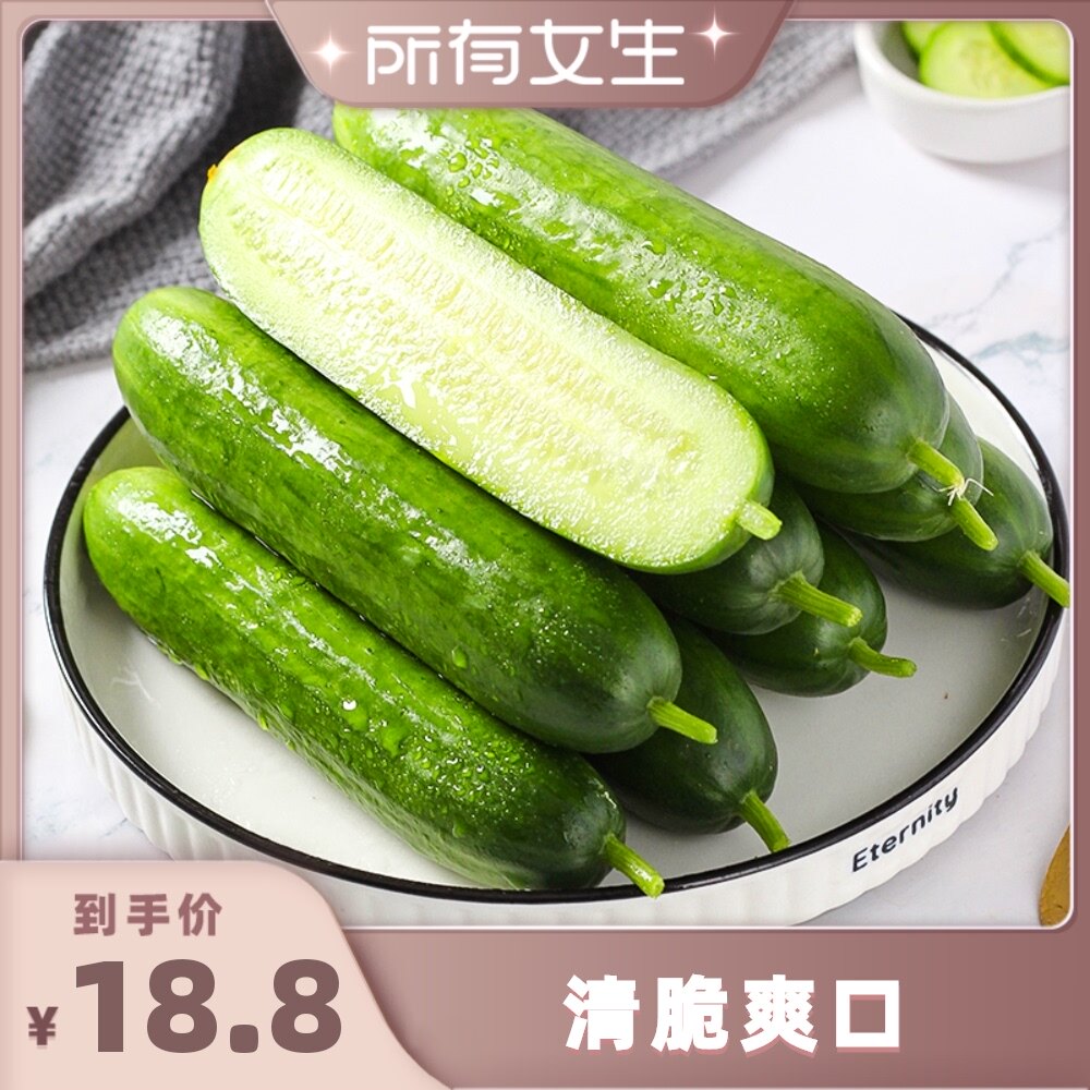 ������Ů��ֱ���䡿������ˮ��С�ƹ�������ժ���������