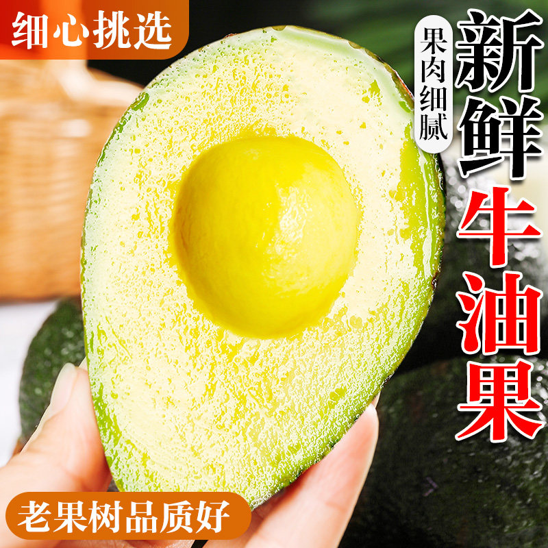 哈斯牛油果新鲜水果特级大果水果宝宝辅食孕妇整箱包邮当季现摘