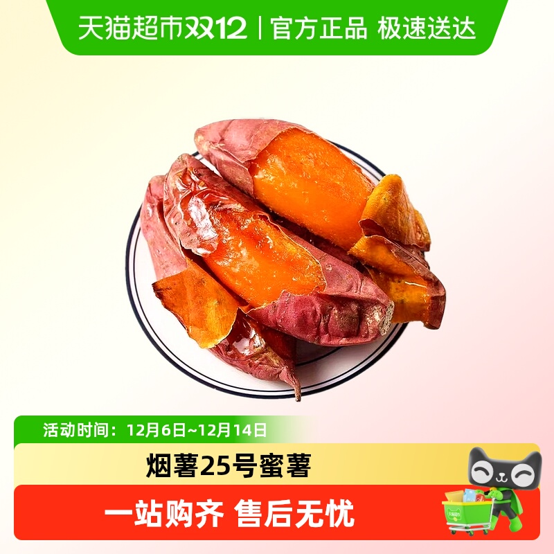 烟薯25号蜜薯地瓜小果