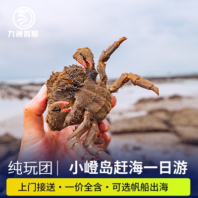 厦门周边游小嶝岛赶海1日游纯玩团原生态渔村趣味赶海+帆船出海游