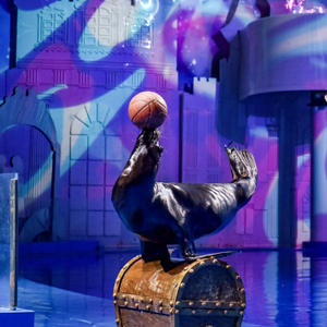 [济南融创海世界-【水母节】活动票]【限时特惠】亲子票