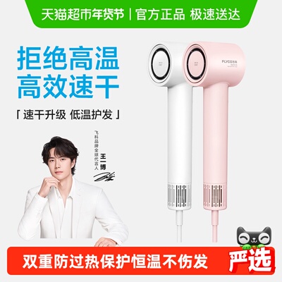 飞科高速吹风机家用负离子护发