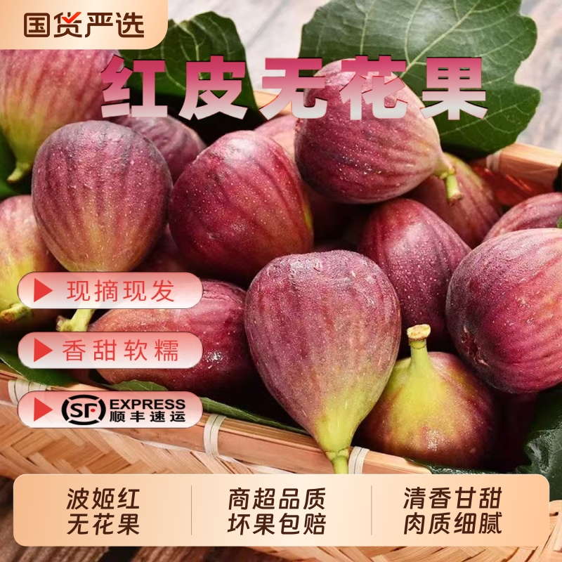 红皮无花果四川威远县无花果之乡