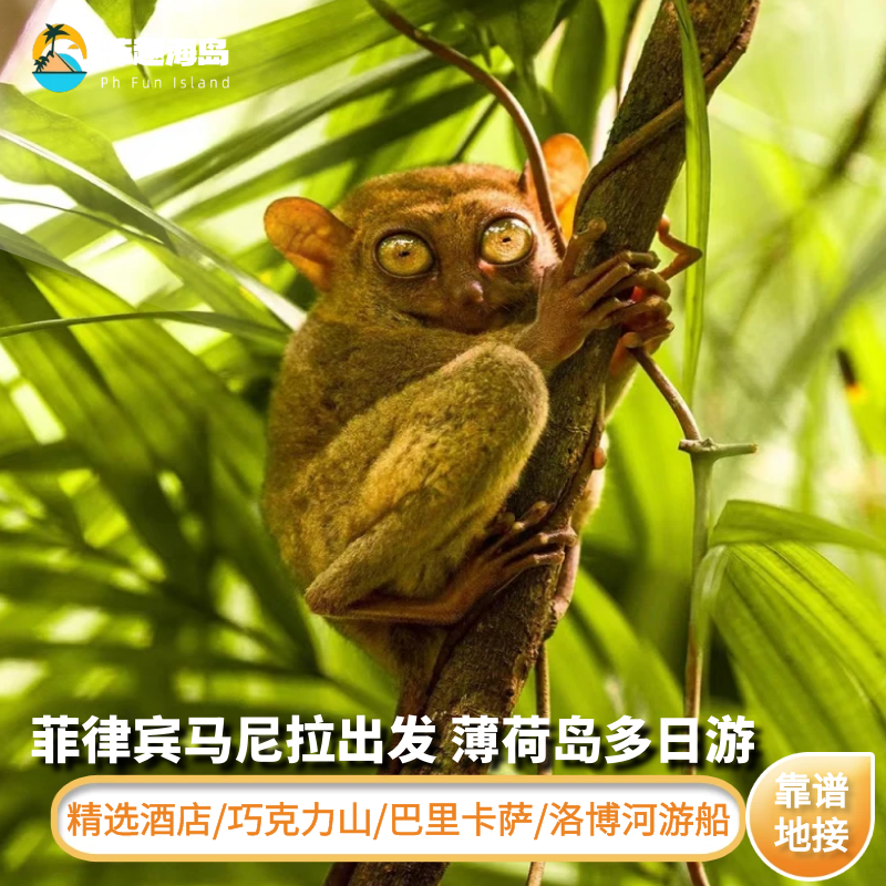 菲律宾马尼拉出发薄荷岛3-5天多日游 巧克力山 巴里卡萨 泳池酒店,度假线路/签证送关/旅游服务,境外一日游/多日游,淘宝优惠券,粉丝福利购,淘宝优惠卷