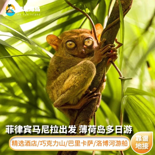 菲律宾马尼拉出发薄荷岛3-5天多日游 巧克力山 巴里卡萨 泳池酒店