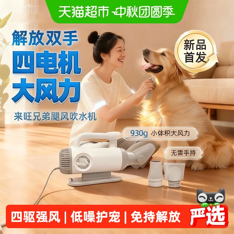 来旺兄弟四马达吹水机低音免手持图片