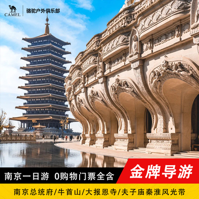 南京总统府牛首山一日游