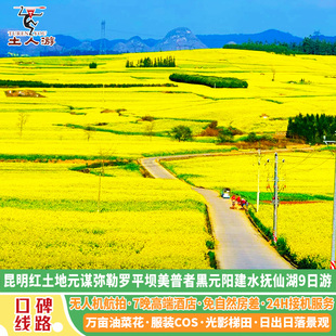 昆明红土地罗平元阳梯田弥勒坝美普者黑蒙自建水元谋抚仙湖9日游
