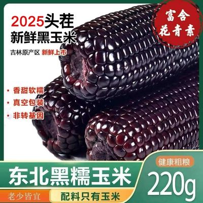 2025年头茬大棒10支新黑糯玉米新鲜现摘真空装包甜糯黏黑玉米代餐