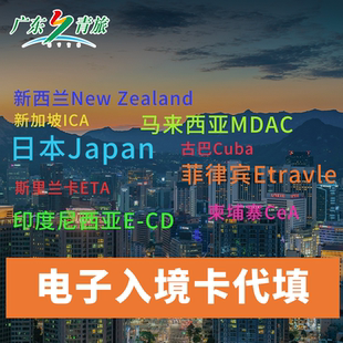 马尔代夫柬埔寨印度尼西亚电子入境卡旅游申报可加急30分钟加急代