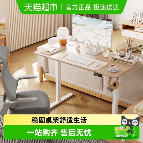 乐歌电动家用简约学习升降桌