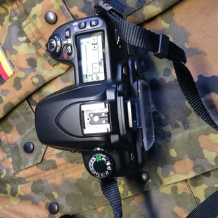 感光元 CCD 件成像与胶片一样成色新千万像素编号121 D80 nikon