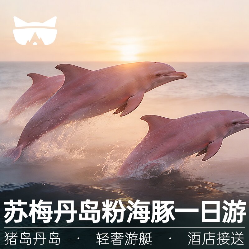 懒猫旅行  苏梅岛一日游丹岛粉海豚浮潜猪岛水上派对出海泰国 - 实物图