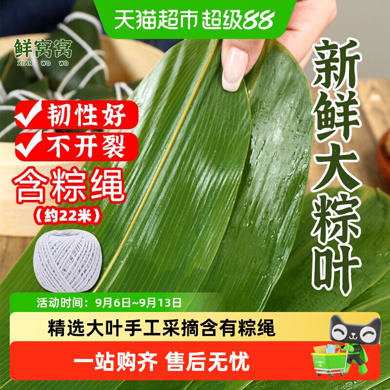 鲜窝窝含棕绳大粽叶新鲜包粽子用图片