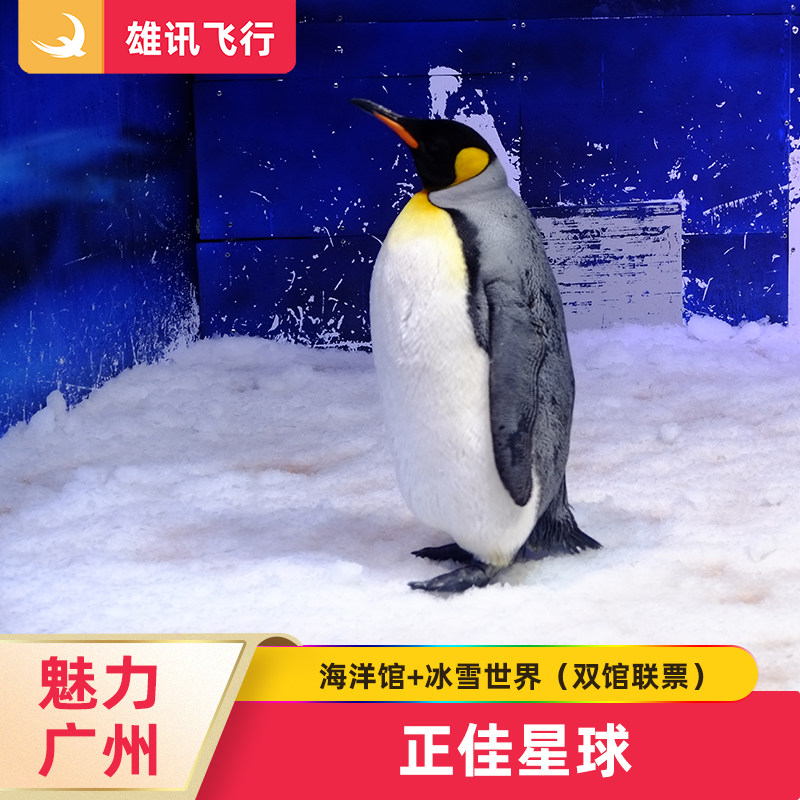 [正佳极地海洋世界-大门票+冰雪乐园]广州正佳海洋馆+企鹅冰雪世界