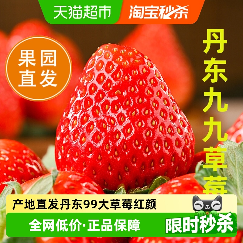 末浅丹东99草莓