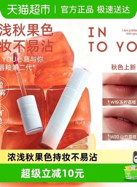 【秋冬新色】INTO YOU水雾唇釉口红素颜哑光唇彩水光唇蜜不易沾杯