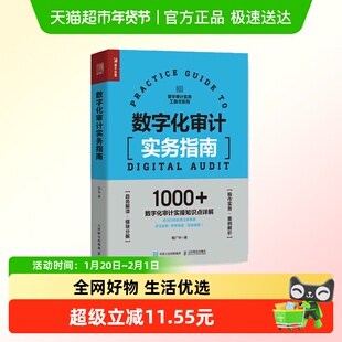数字化审计实务指南-普华审计实务工具书系列新华书店