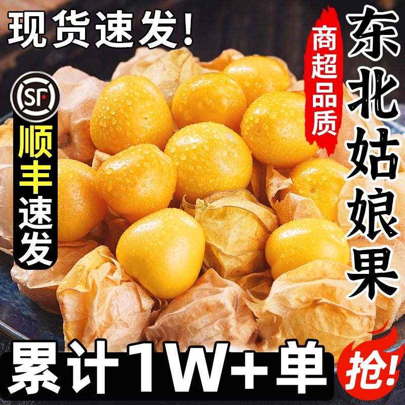 顺丰东北姑娘果大果5新鲜当季水果整箱特产灯笼果小金豆甜菇娘斤