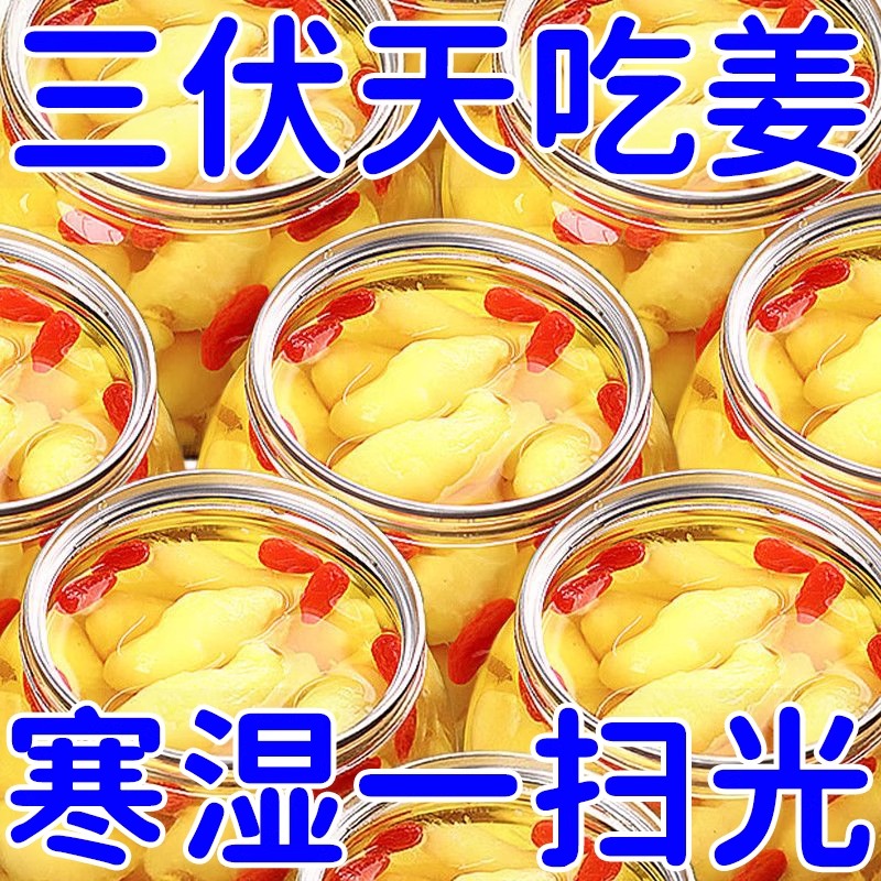 枸杞泡姜芽去新鲜嫩姜芽湿酸甜腌制气泡菜下饭菜姜糖醋生姜片