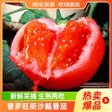 新鲜番茄品质甄选沙瓤水果蔬菜限秒 山东沙瓤西红柿当季