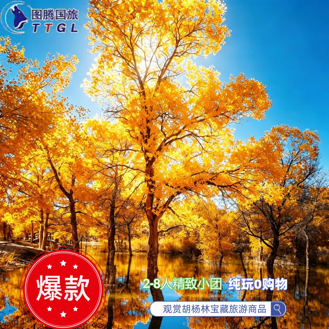 呼和浩特额济纳旗四日游/英雄城/黑城弱水怪树林/居延海/胡杨林