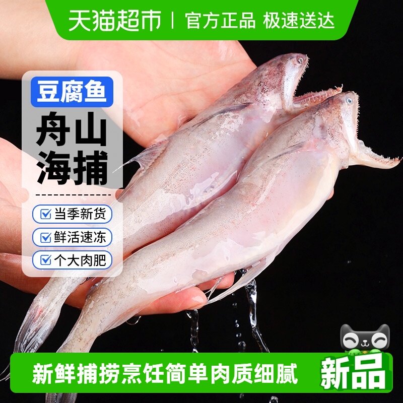 赫敏舟山东海海捕新鲜龙头鱼豆腐鱼九肚鱼水潺冷冻海鲜龙头鱼